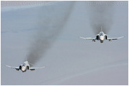 McDonnell Douglas F-4 Phantom II, JG71, Luftwaffe